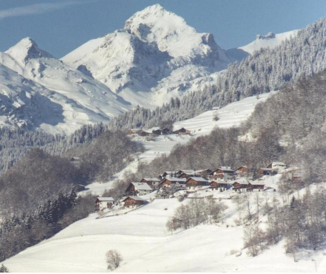 Boardercamp Laax - Swiss Mountain Hostel Ruschein Zewnętrze zdjęcie